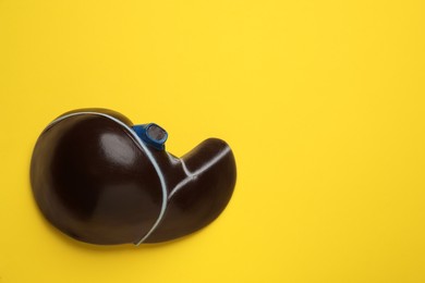 Photo of Model of liver on yellow background, top view. Space for text