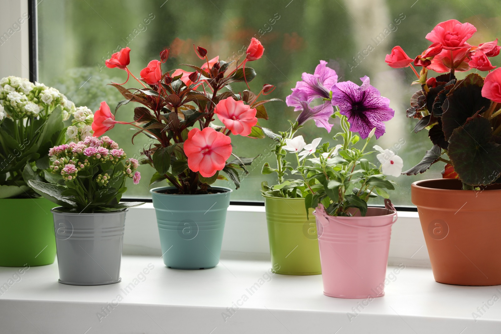 Photo of Different beautiful flowers in pots on windowsill indoors