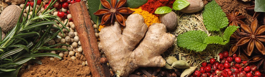 Image of Different fresh herbs with aromatic spices as background, top view. Banner design