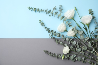 Eucalyptus branches with fresh green leaves and flowers on color background. Flat lay composition with space for design