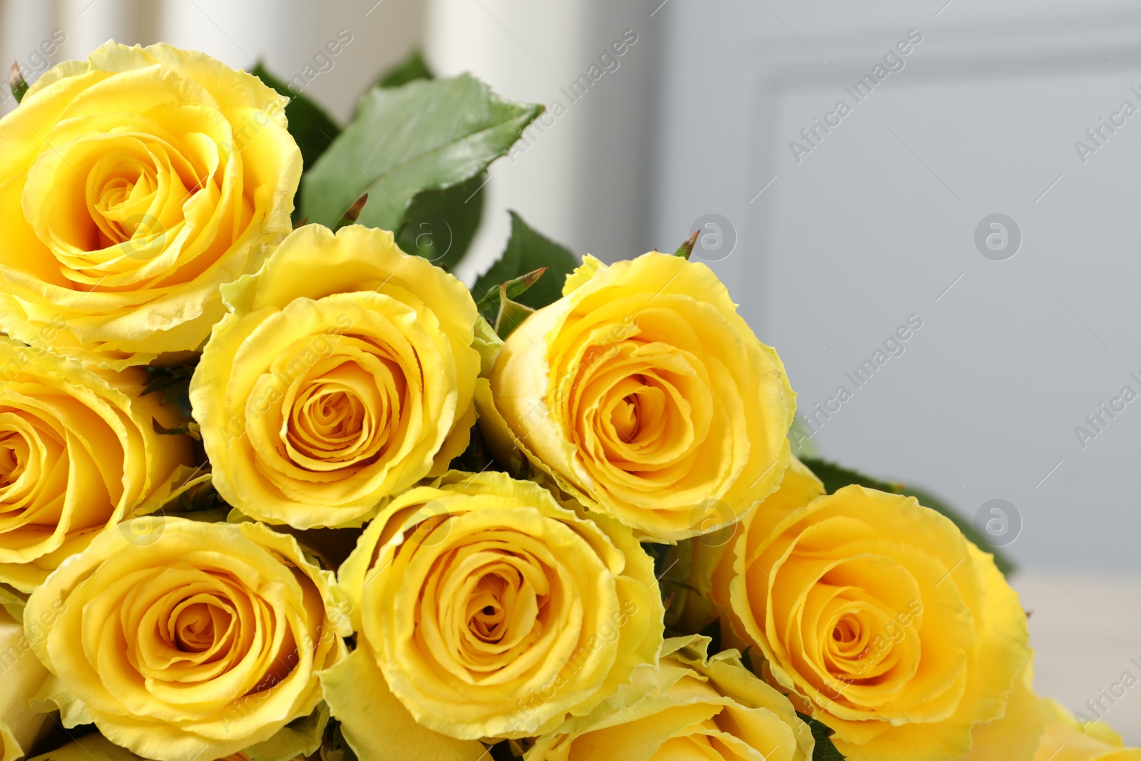 Photo of Beautiful bouquet of yellow roses against blurred background, closeup