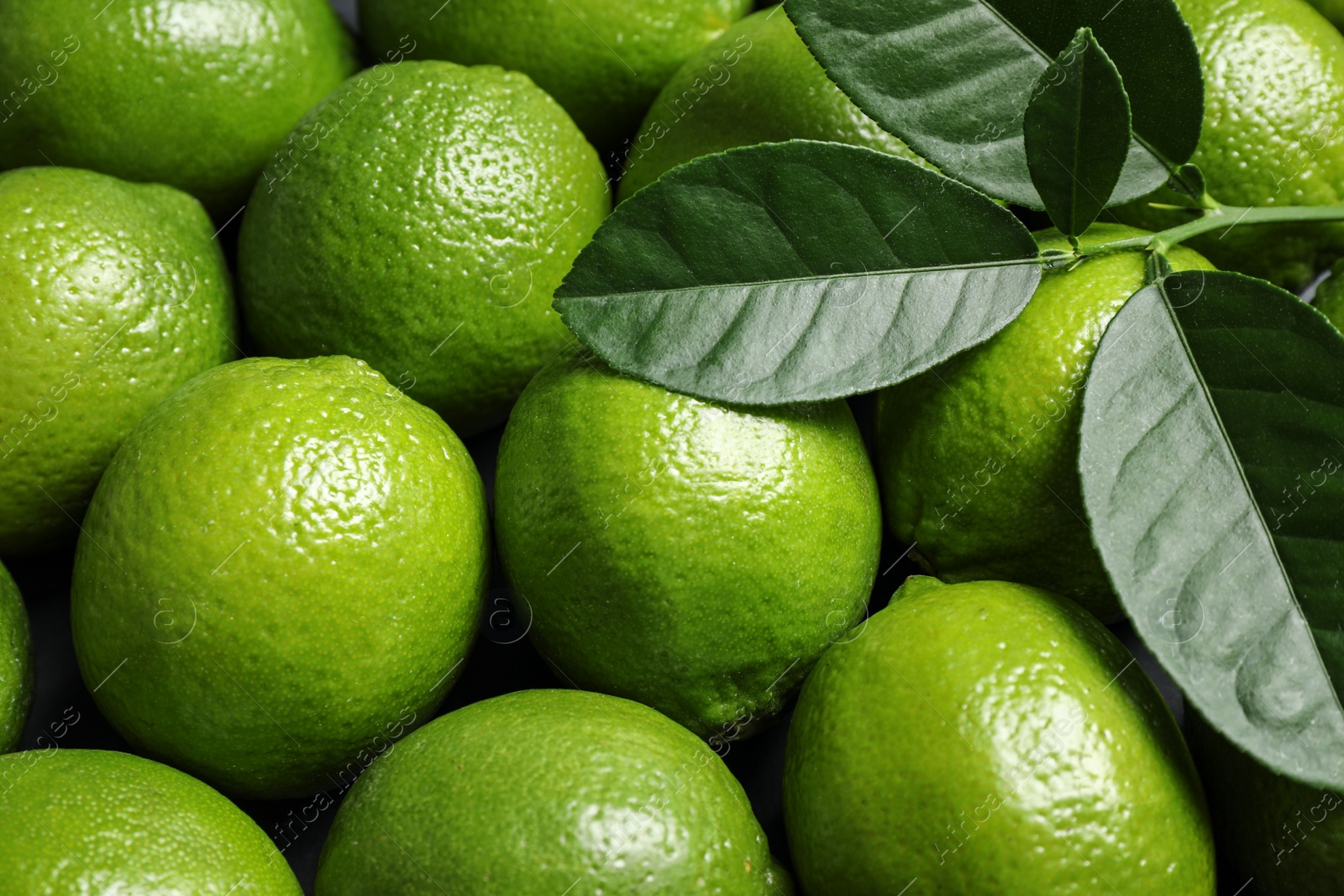 Photo of Fresh ripe green limes as background, closeup