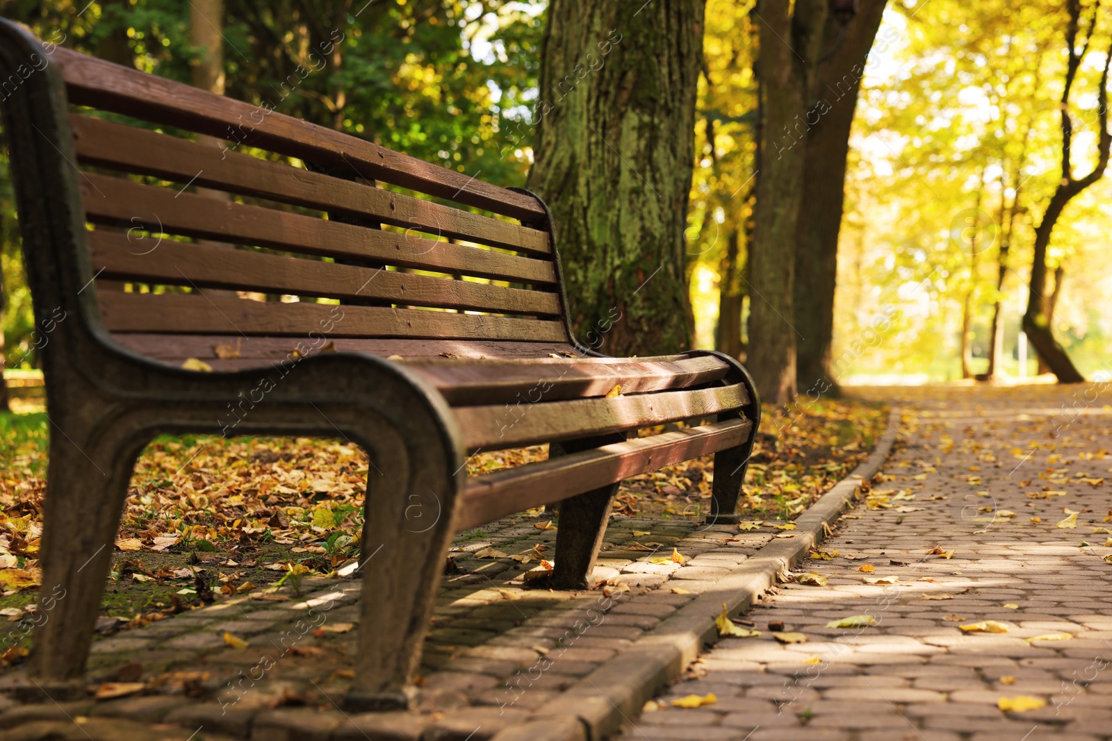 Photo of Wooden bench, pathway and fallen leaves in beautiful park on autumn day