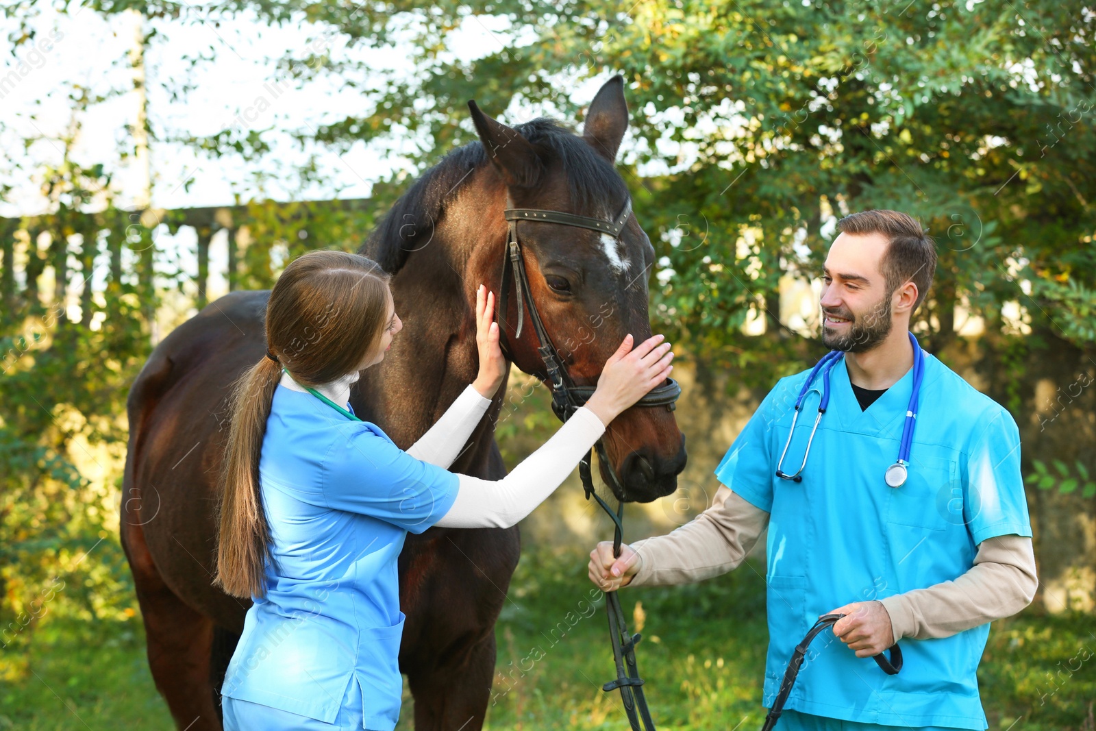 Photo of Veterinarians in uniform with beautiful brown horse outdoors