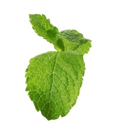 Photo of Fresh green mint leaves on white background