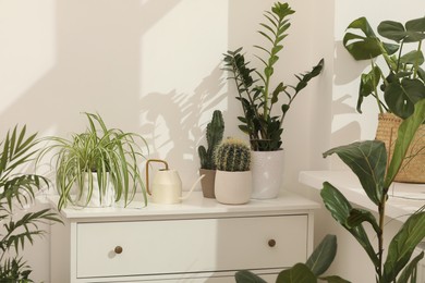 Photo of Many beautiful potted houseplants growing near white wall indoors