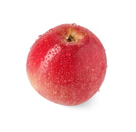 Photo of One ripe red apple with water drops isolated on white