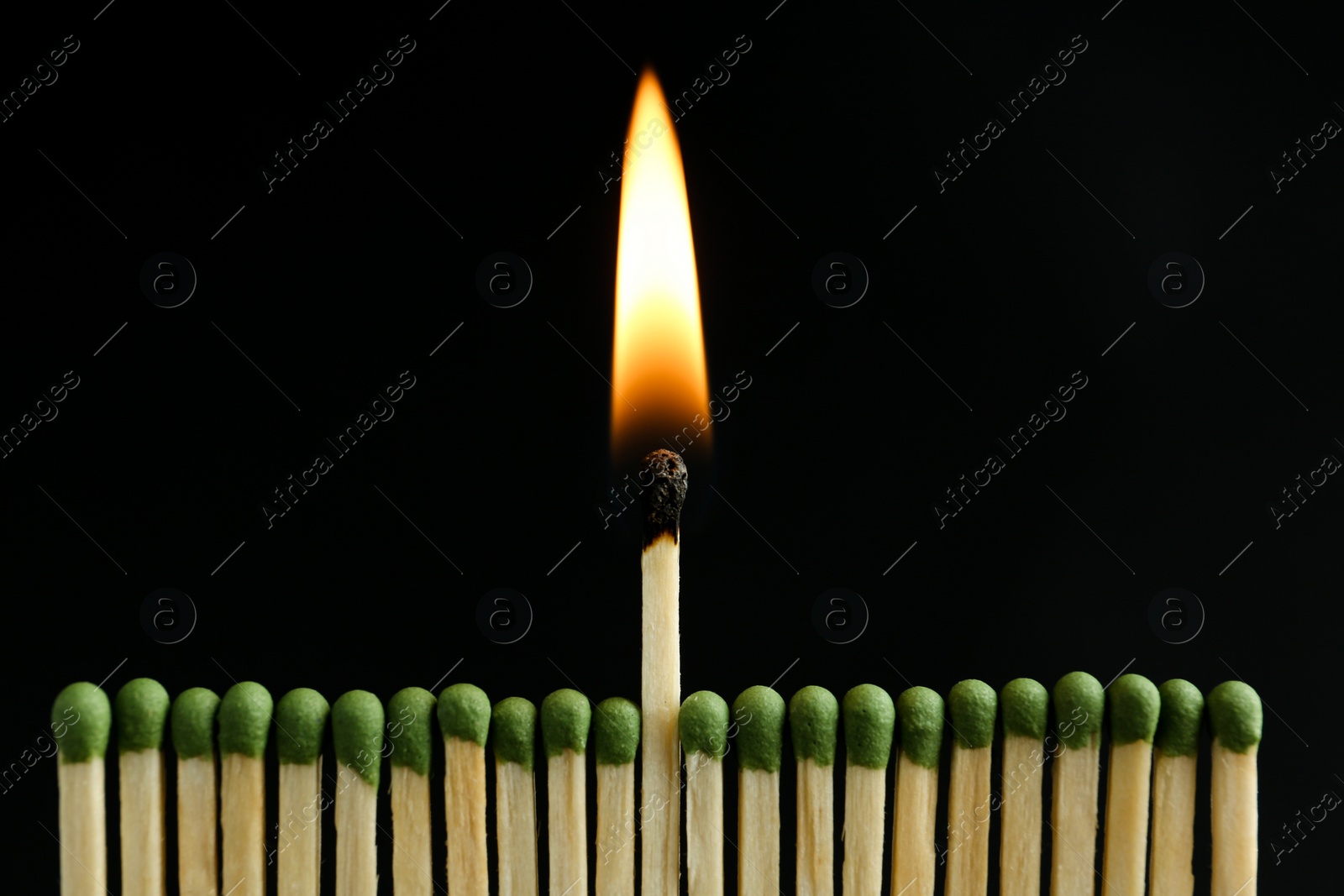 Photo of Burning match among unlit ones on black background, closeup