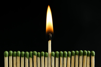 Photo of Burning match among unlit ones on black background, closeup