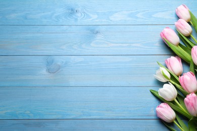 Photo of Beautiful pink spring tulips on light blue wooden background, flat lay. Space for text