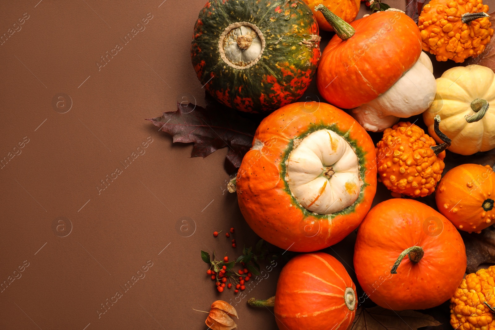 Photo of Flat lay composition with different ripe pumpkins on brown background. Space for text