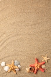 Photo of Beautiful sea stars and shells on sand, flat lay. Space for text