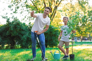 Dad and son planting tree in park on sunny day