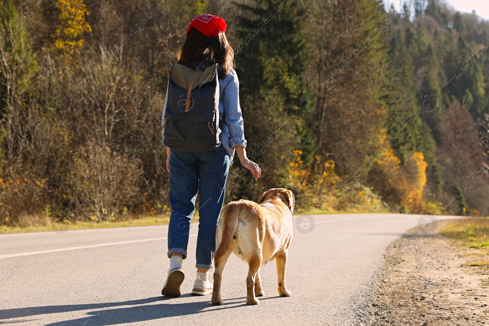 Photo of Woman and adorable dog walking along road, back view. Traveling with pet