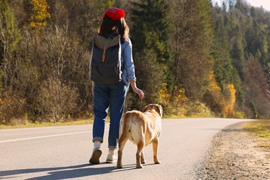 Woman and adorable dog walking along road, back view. Traveling with pet