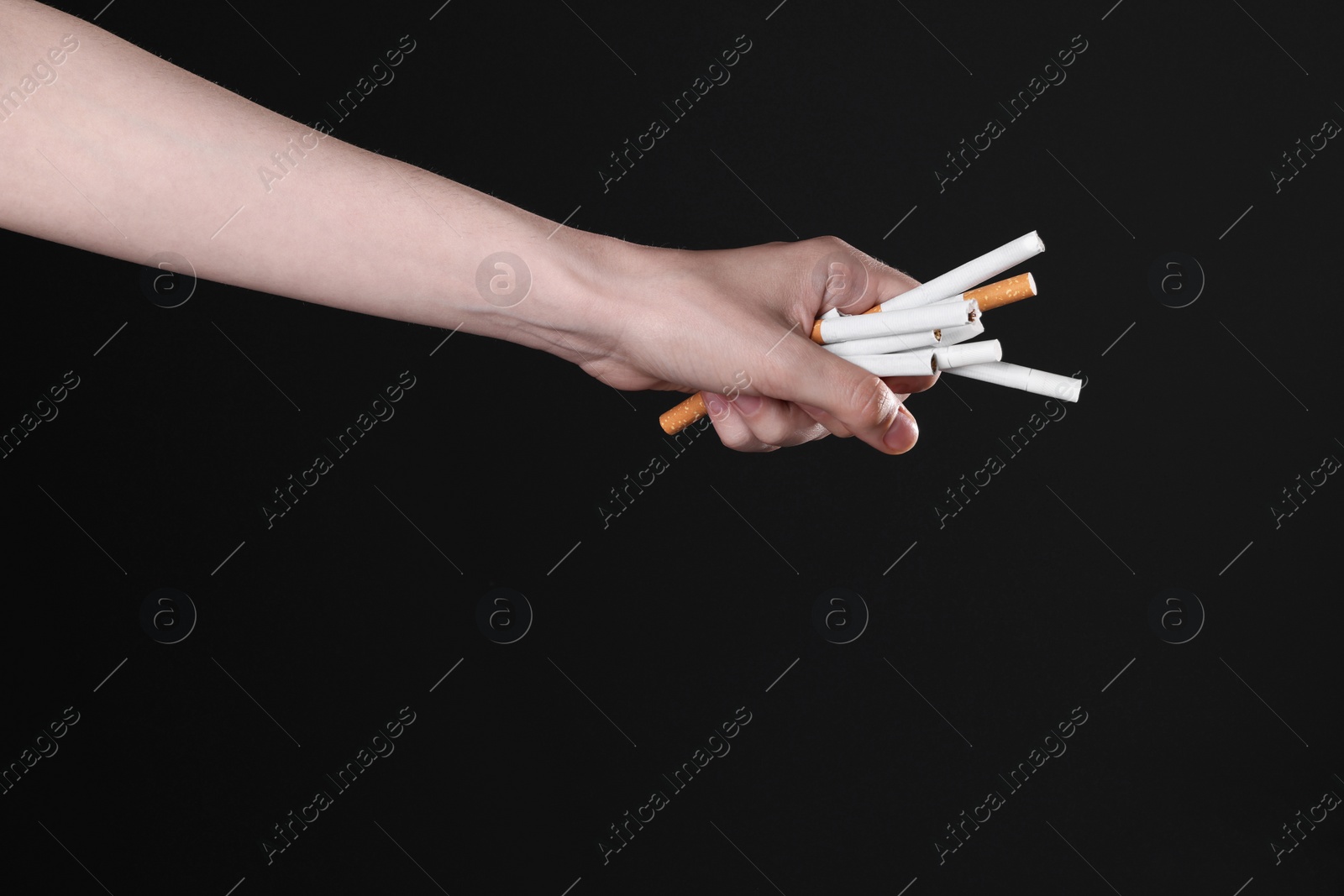 Photo of Stop smoking concept. Woman holding cigarettes on black background, closeup