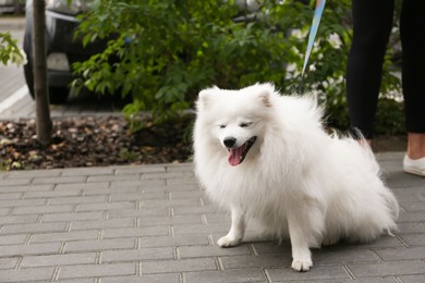 Photo of Woman walking with cute fluffy Japanese spitz on city street, closeup