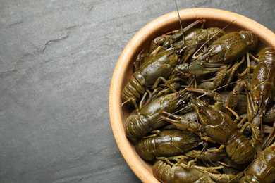 Photo of Fresh raw crayfishes on black table, top view. Space for text