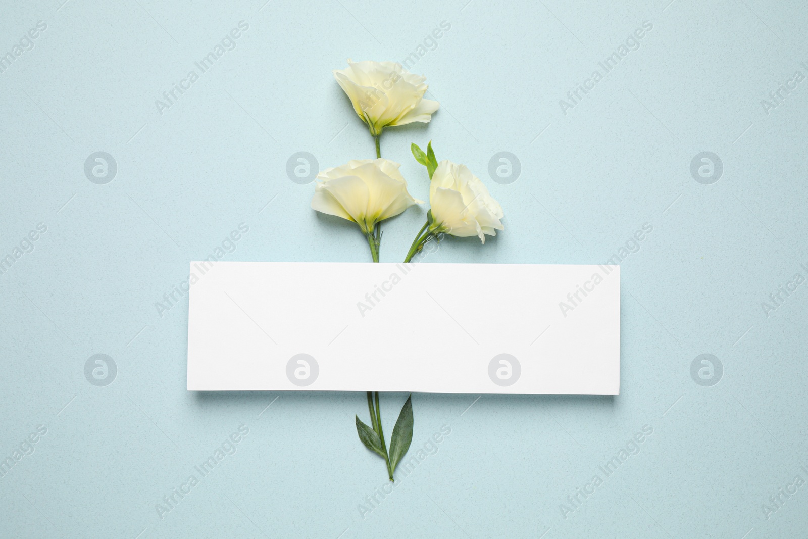 Photo of Beautiful white Eustoma flowers and card with space for text on light background, flat lay