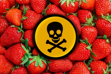 Image of Skull and crossbones sign on ripe strawberries, closeup. Be careful - toxic