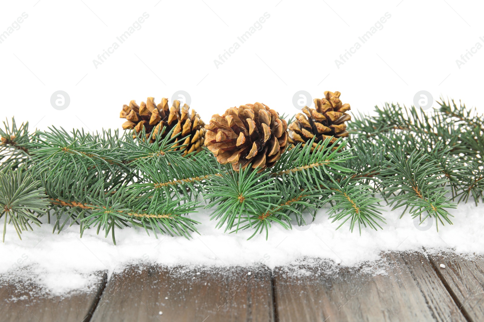 Photo of Christmas tree branches with pine cones and snow on table against white background