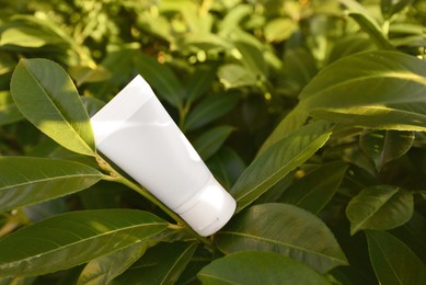 Tube of cream in green leaves outdoors on sunny day