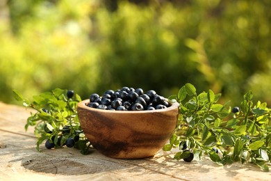 Photo of Bowl of bilberries and green twigs with ripe berries on wooden table outdoors