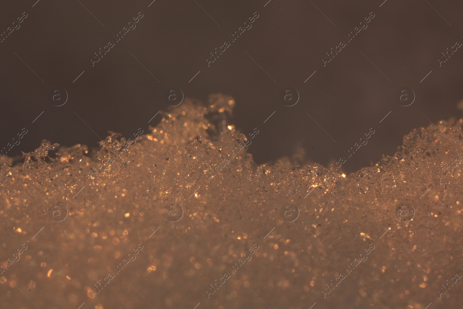 Photo of Shiny snow lit with sun at sunset, closeup