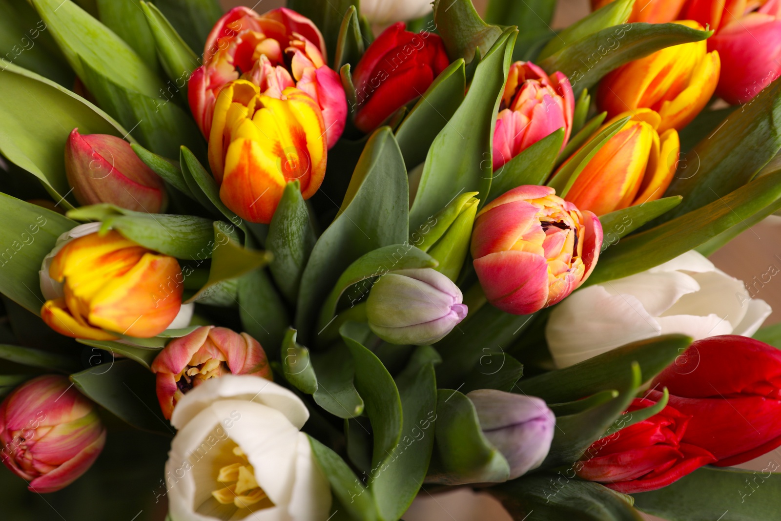 Photo of Beautiful bouquet of colorful tulip flowers, closeup