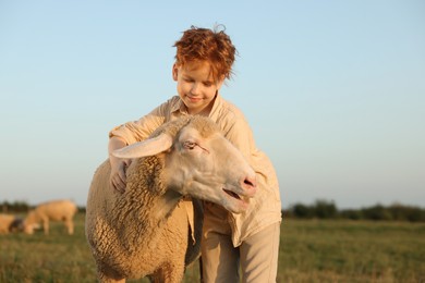 Boy stroking sheep on pasture. Farm animal