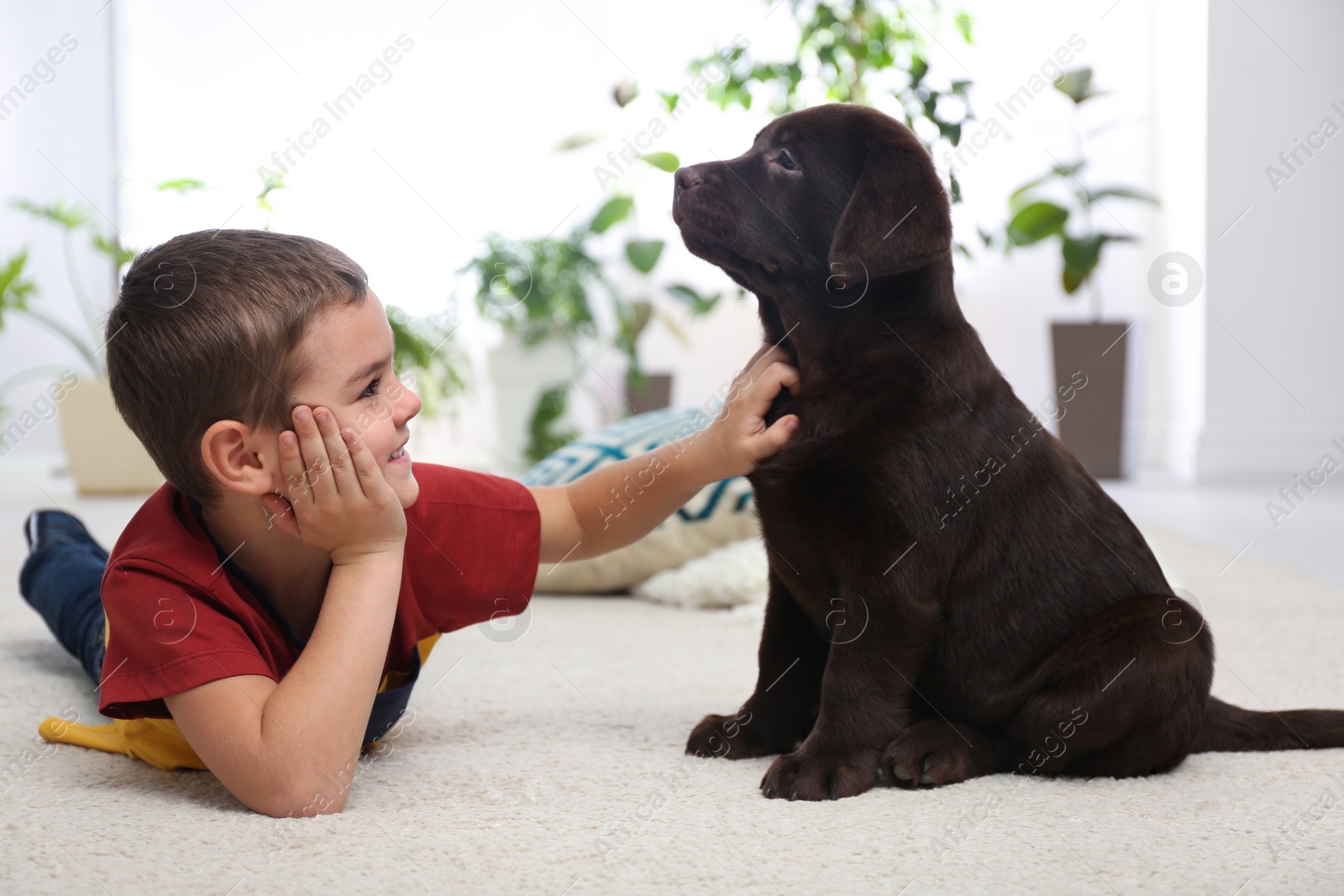 Photo of Little boy with puppy on floor at home. Friendly dog