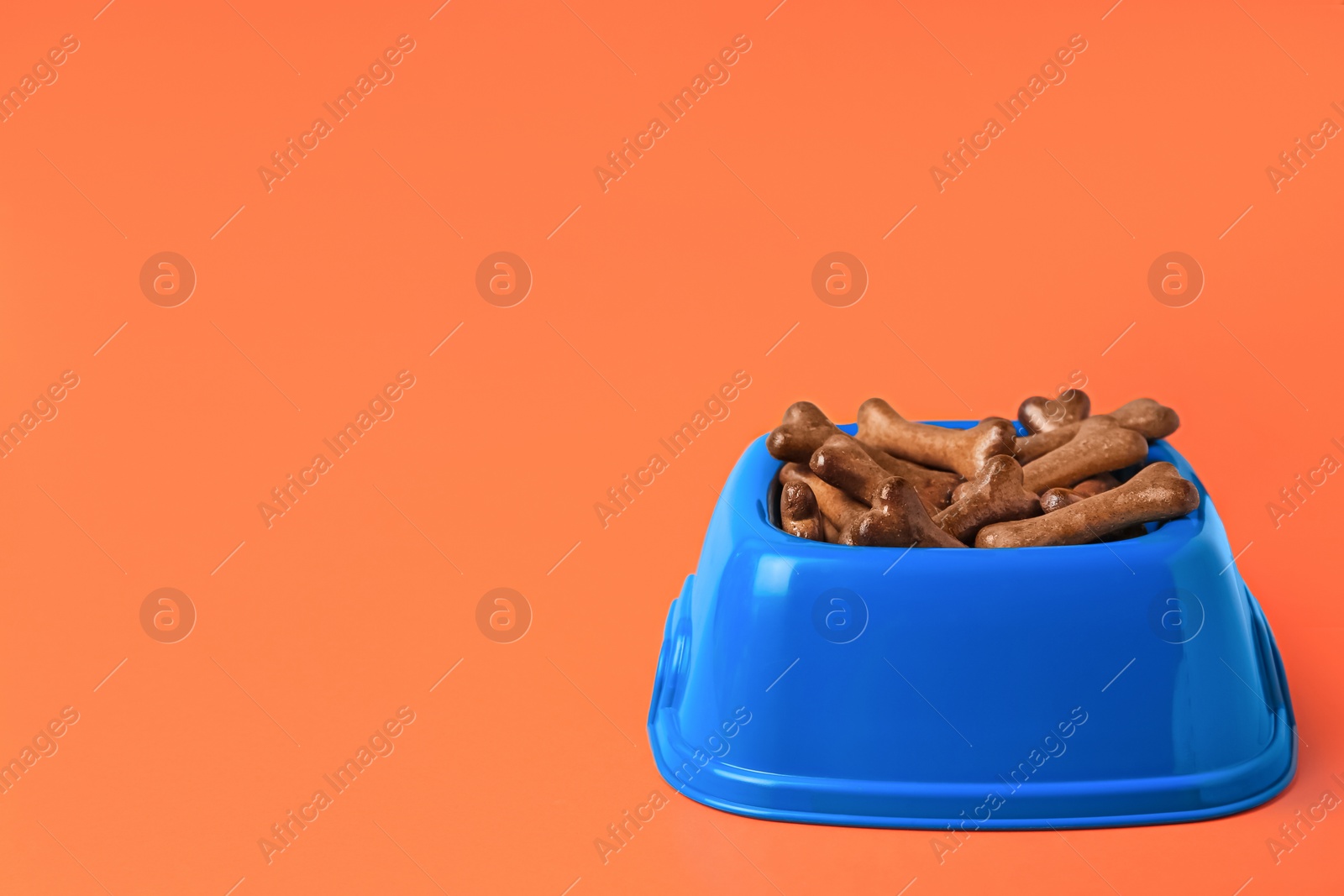 Photo of Blue bowl with bone shaped dog cookies on orange background, space for text