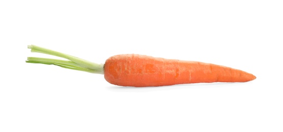 Photo of Fresh ripe carrot on white background. Wholesome vegetable