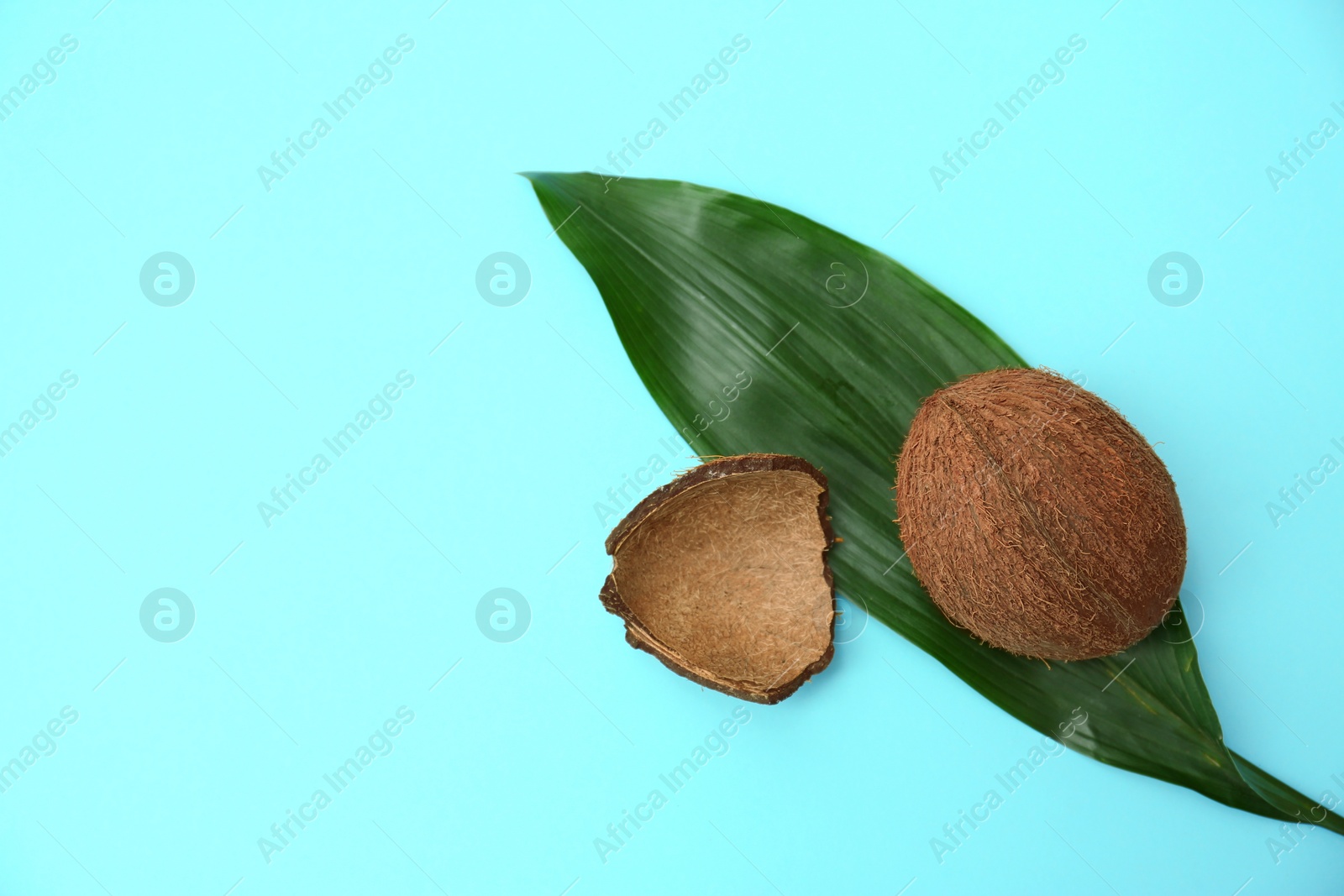 Photo of Fresh coconut and palm leaf on light blue background, flat lay. Space for text