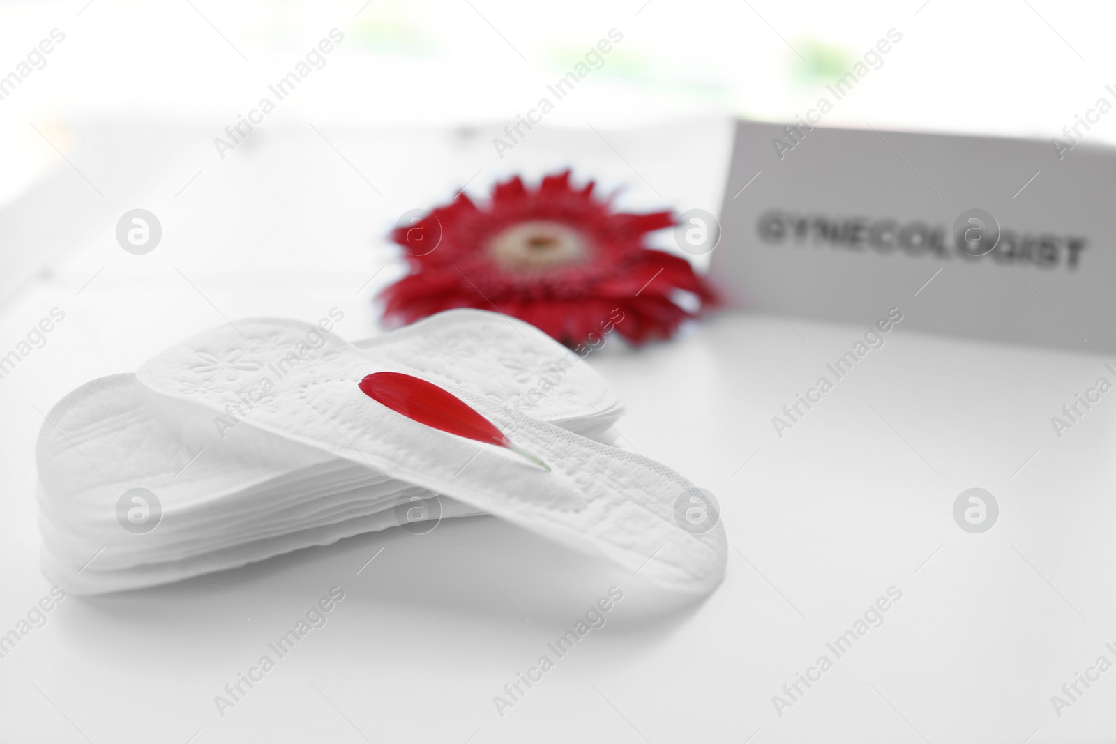 Photo of Menstrual pads with red flower petal on table. Gynecological care