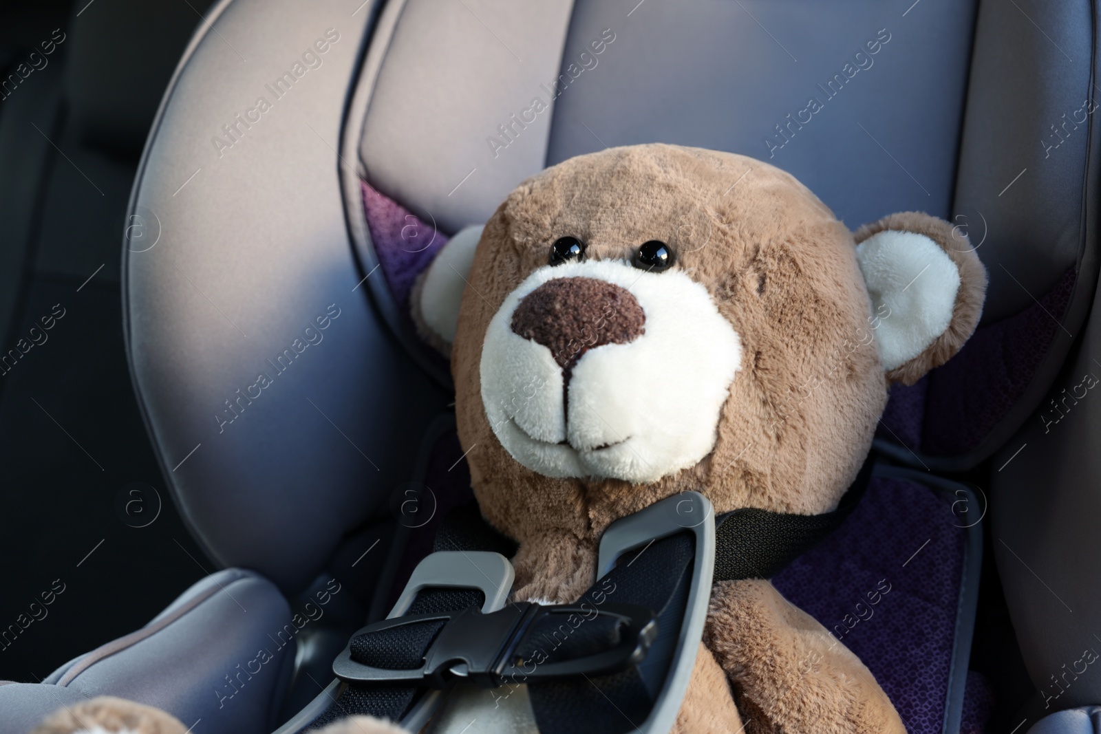 Photo of Teddy bear in child safety seat inside car