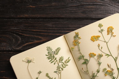 Wild dried meadow flowers in notebook on wooden background, top view