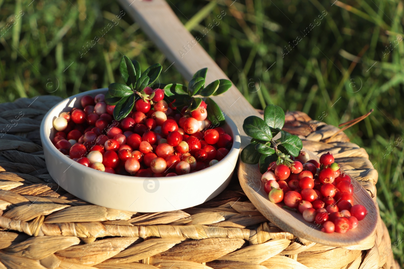 Photo of Delicious ripe red lingonberries in bowl and wooden spoon on wicker basket outdoors