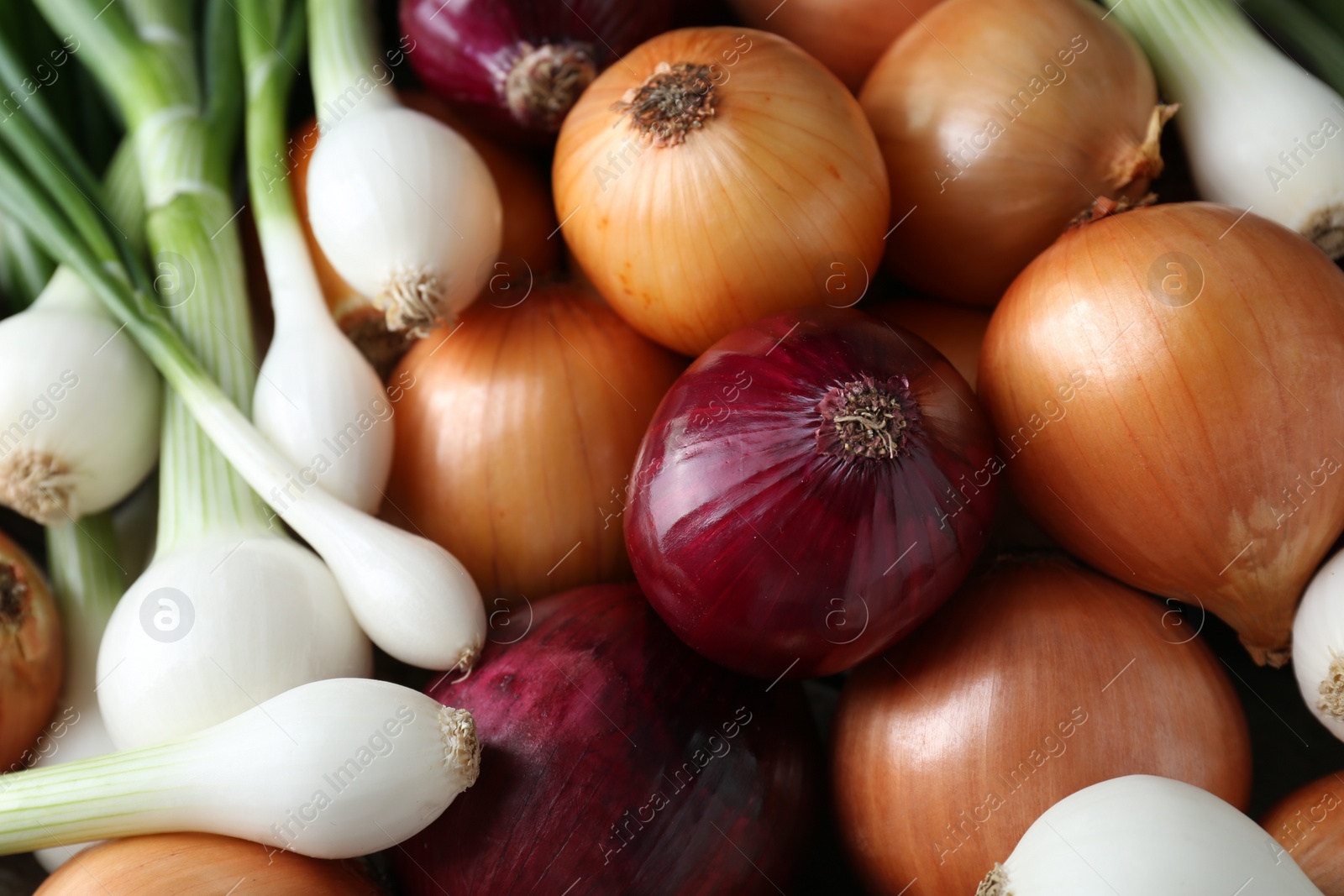 Photo of Different kinds of onions as background, closeup