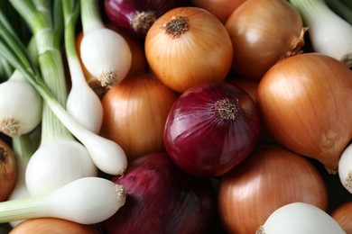 Photo of Different kinds of onions as background, closeup