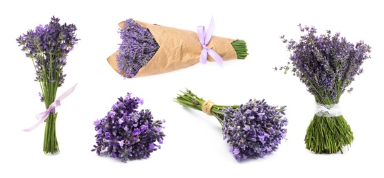 Set with bouquets of lavender flowers on white background. Banner design 