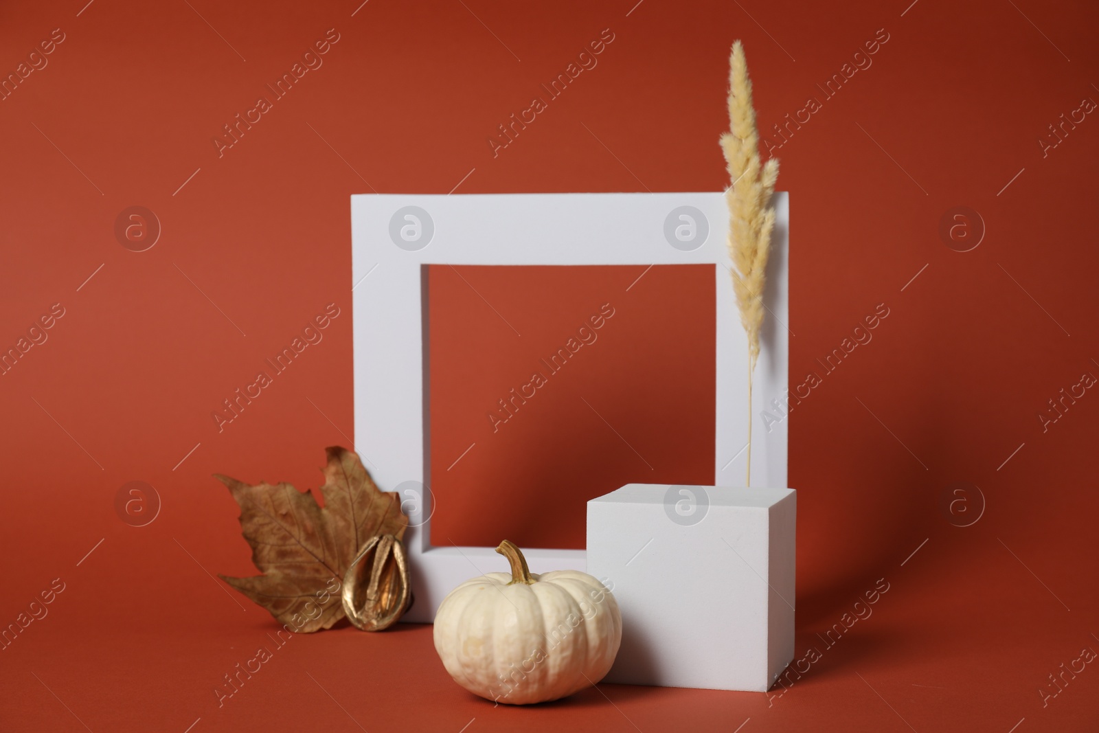 Photo of Stylish presentation for product. Geometric figures and autumn decoration on brown background