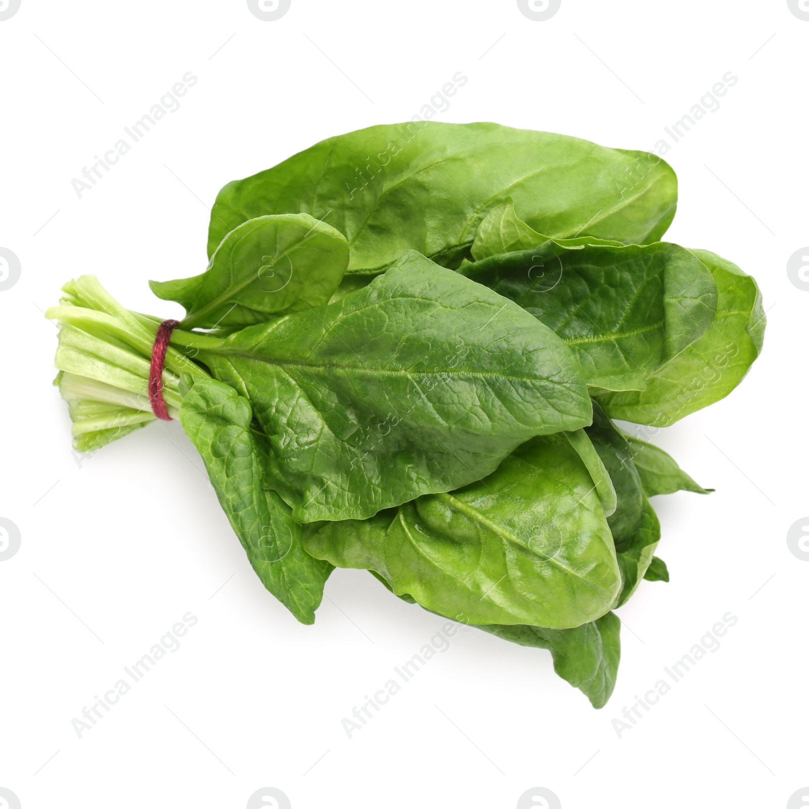 Photo of Bundle of fresh spinach isolated on white, top view