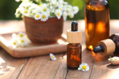 Photo of Bottles of chamomile essential oil and flowers on wooden table, closeup. Space for text
