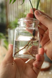 Woman holding jar with house plant on blurred background, closeup