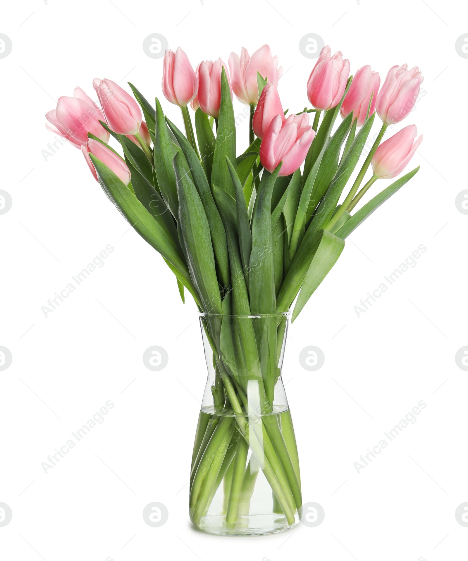 Photo of Beautiful pink spring tulips in vase isolated on white