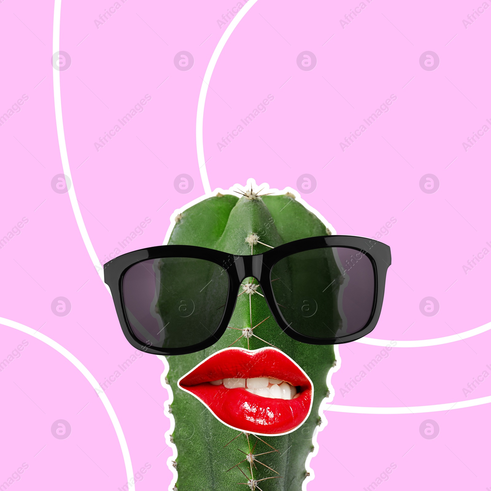 Image of Stylish art collage. Cactus with sunglasses biting lip on pink background