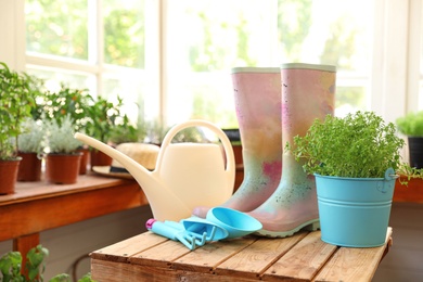 Photo of Composition with gardening tools and plant on wooden table indoors