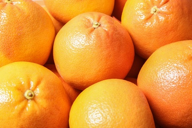 Many whole fresh ripe grapefruits as background, closeup