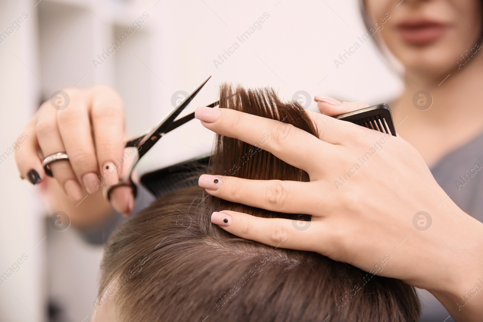 Photo of Professional female hairdresser working with client in salon